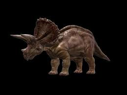 Triceratops 2