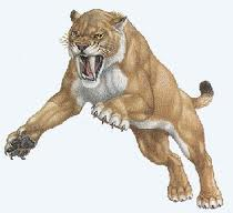 Smilodon
