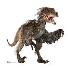 Velociraptor