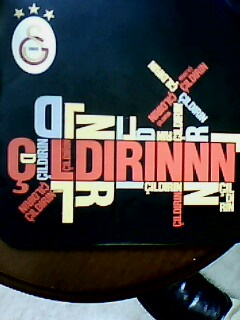 Gs Nekadar Seviyorsun
