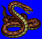 anaconda