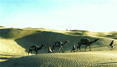 Deserts of Rajasthan