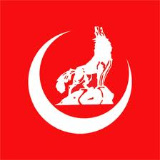 Ülkü Ocakları