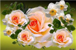 Hermosas Flores