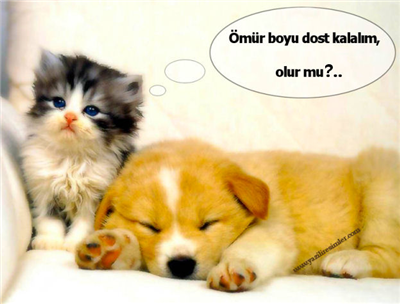 Dost 