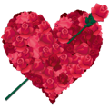 Roses heart