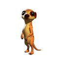 Meerkat