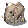 White Elephant