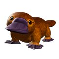 Platypus