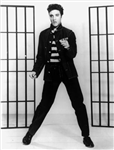 Elvis La Pelvis