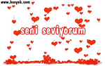 Sevgi Aşk