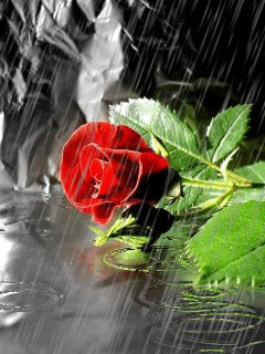 İYİ GÜNLER.......(¨`•.•´¨).....….l | /