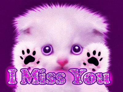 cat_miss you