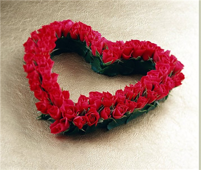love in roses