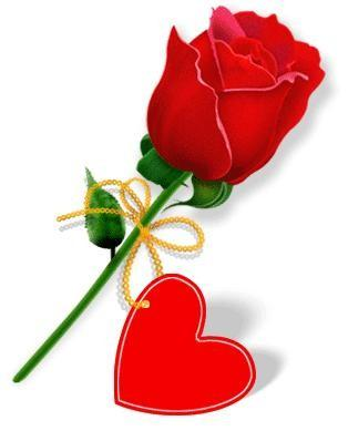red roze