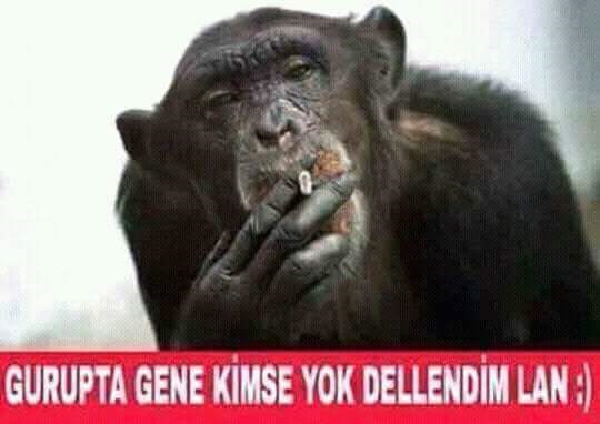 Nasıl Şut Çekersin