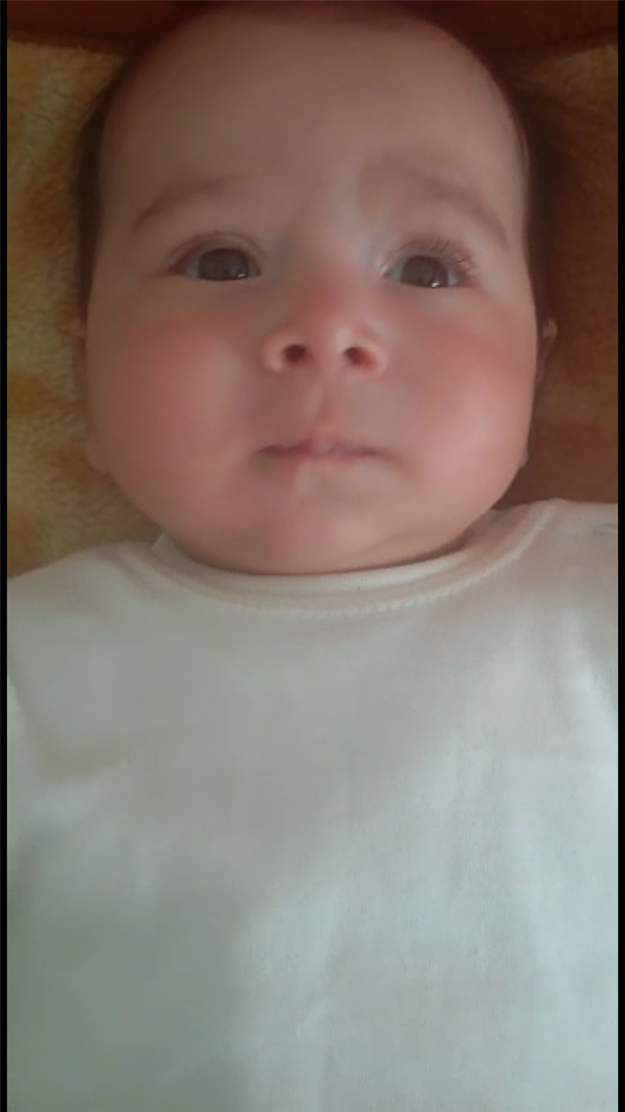 Bizim Ciflik