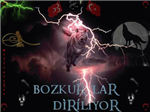 Ülkücü Hareket Ayaga Kalk 