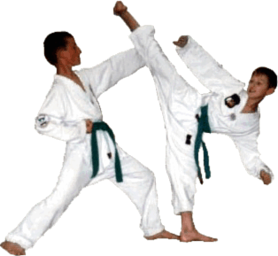 Gerçek Bir Taekwondo'cu Musun?