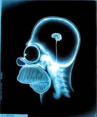 ¿Que Tan Inteligente Eres?