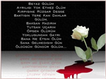 Acı Sonlr 