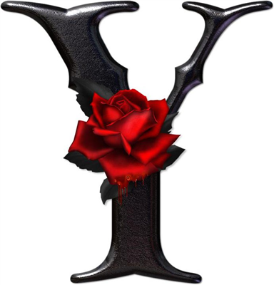 Y