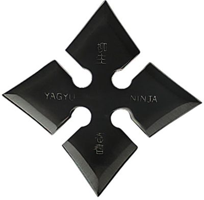 ninja star