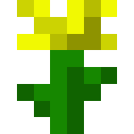 yellow flower