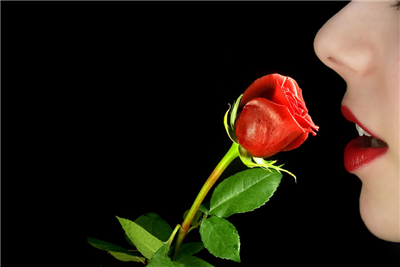 rose