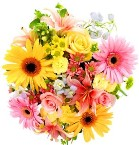 Cheerful Thoughts