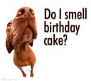 A Birthday Surprise!