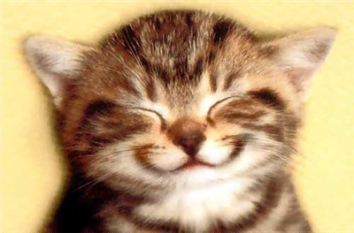  A Smile