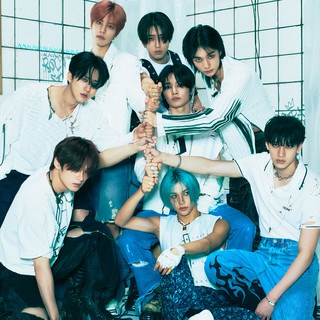Stray Kids Biasın