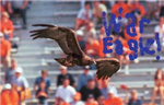 Auburn Gifts!