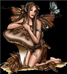 Regalos Del Hada De Los Aromas