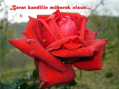 Hayırlı kandiller