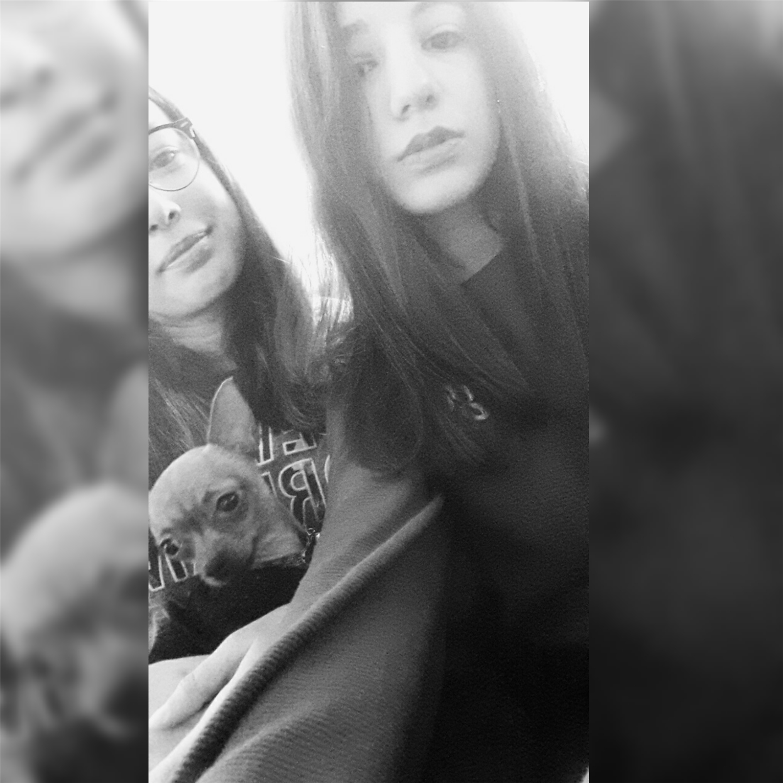 Dilara..