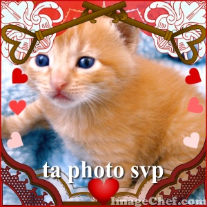 ta photo