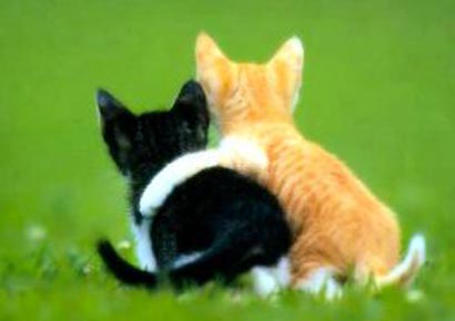 Un abrazo