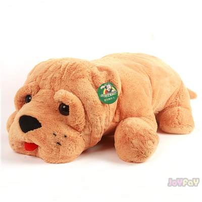 Cute puppy dog