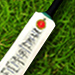 Galli Cricket (Royal Challenger Fan Team )