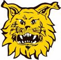 Tappara/Ilves
