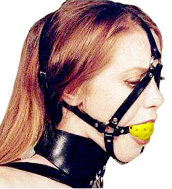 Head harness