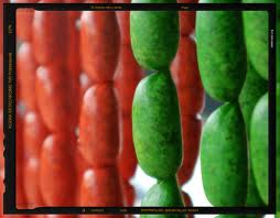 Chorizo de Toluca