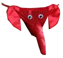 Tanga de elefante