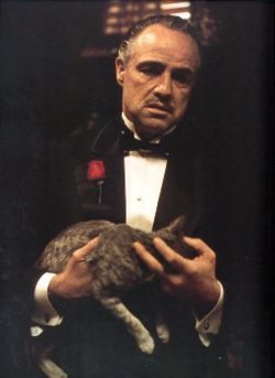 Hangi Film Karakterisin ?