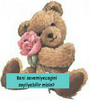 Beni sevemiyecegini soyliyebilir misin