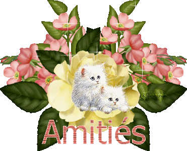 amitié