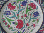 Ateşte Acan Cicekler