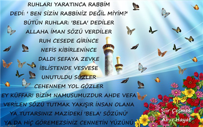 şiir